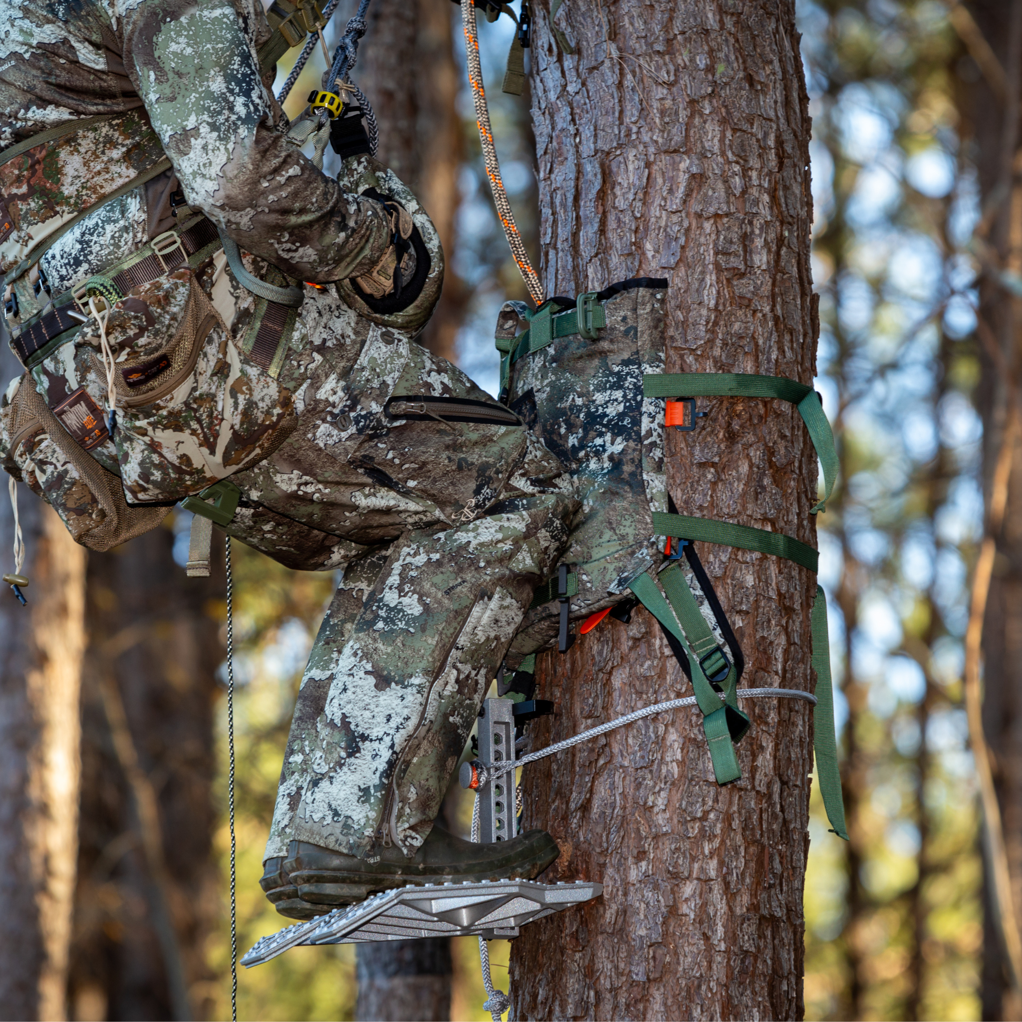 STRATA: Pack Rat Tree Hugger FULL SEND SYSTEM