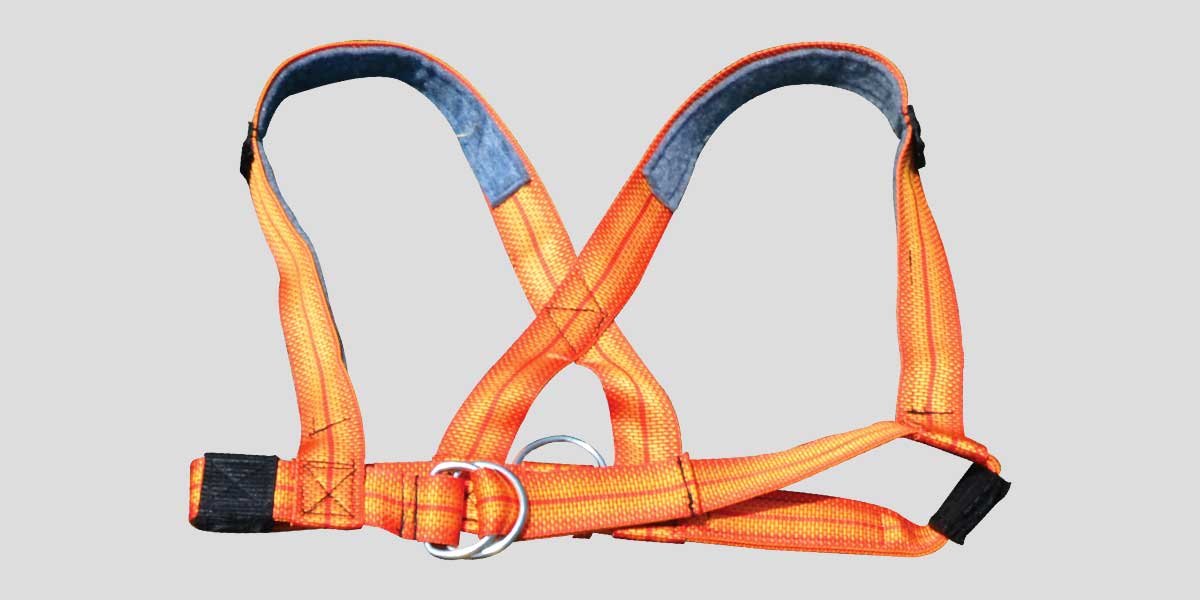 Harness