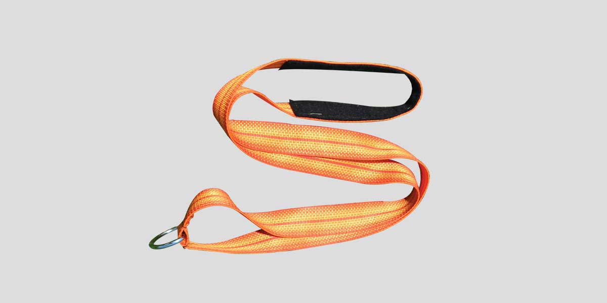 Harness