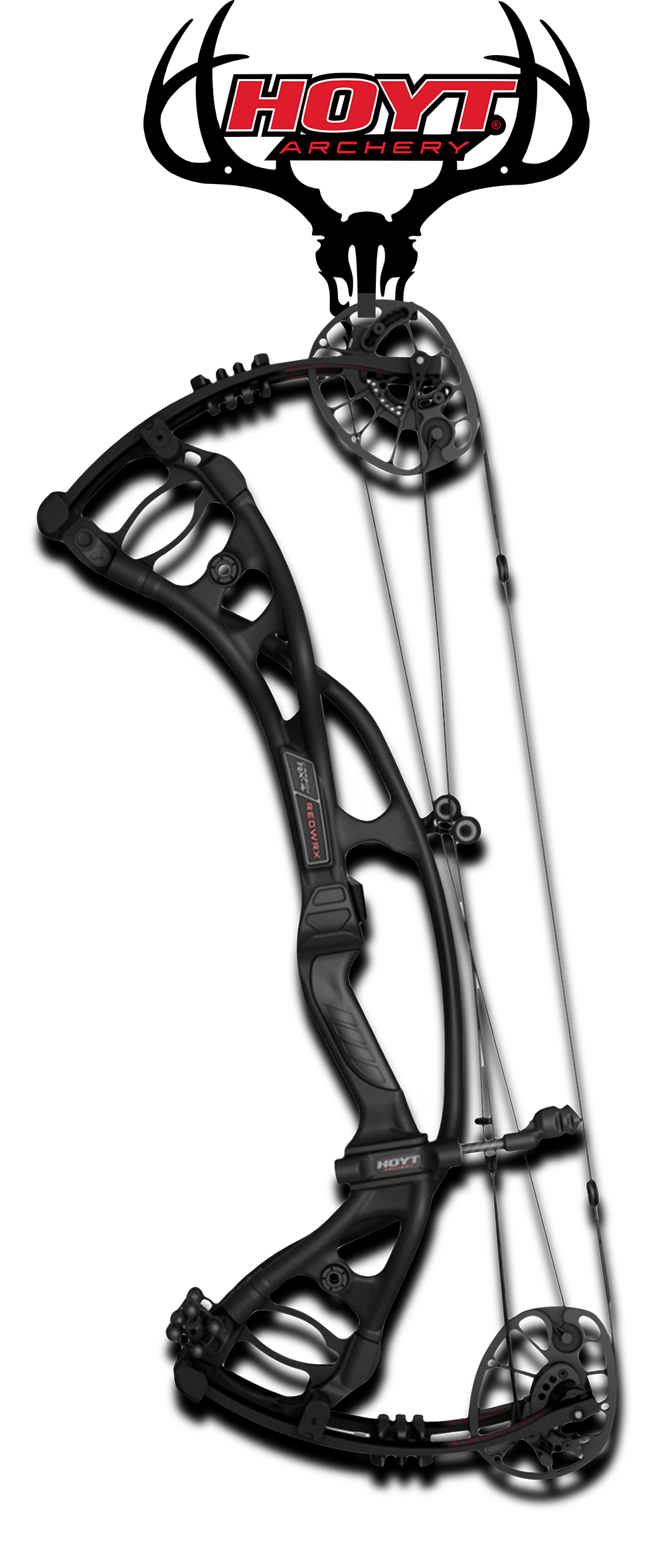 Single Hoyt