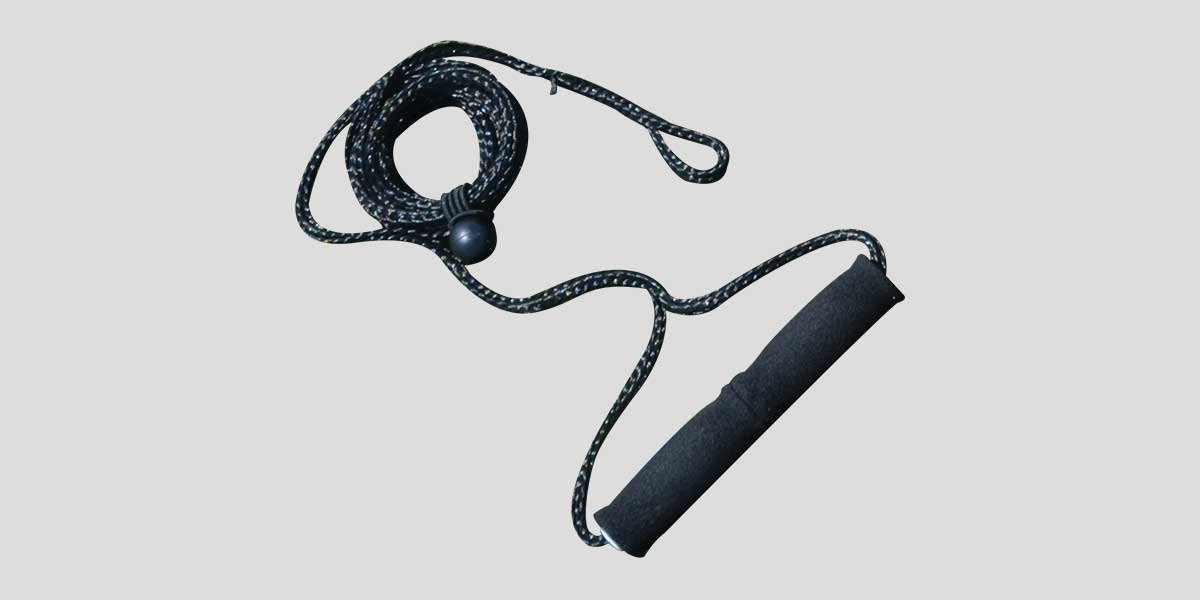 Harness