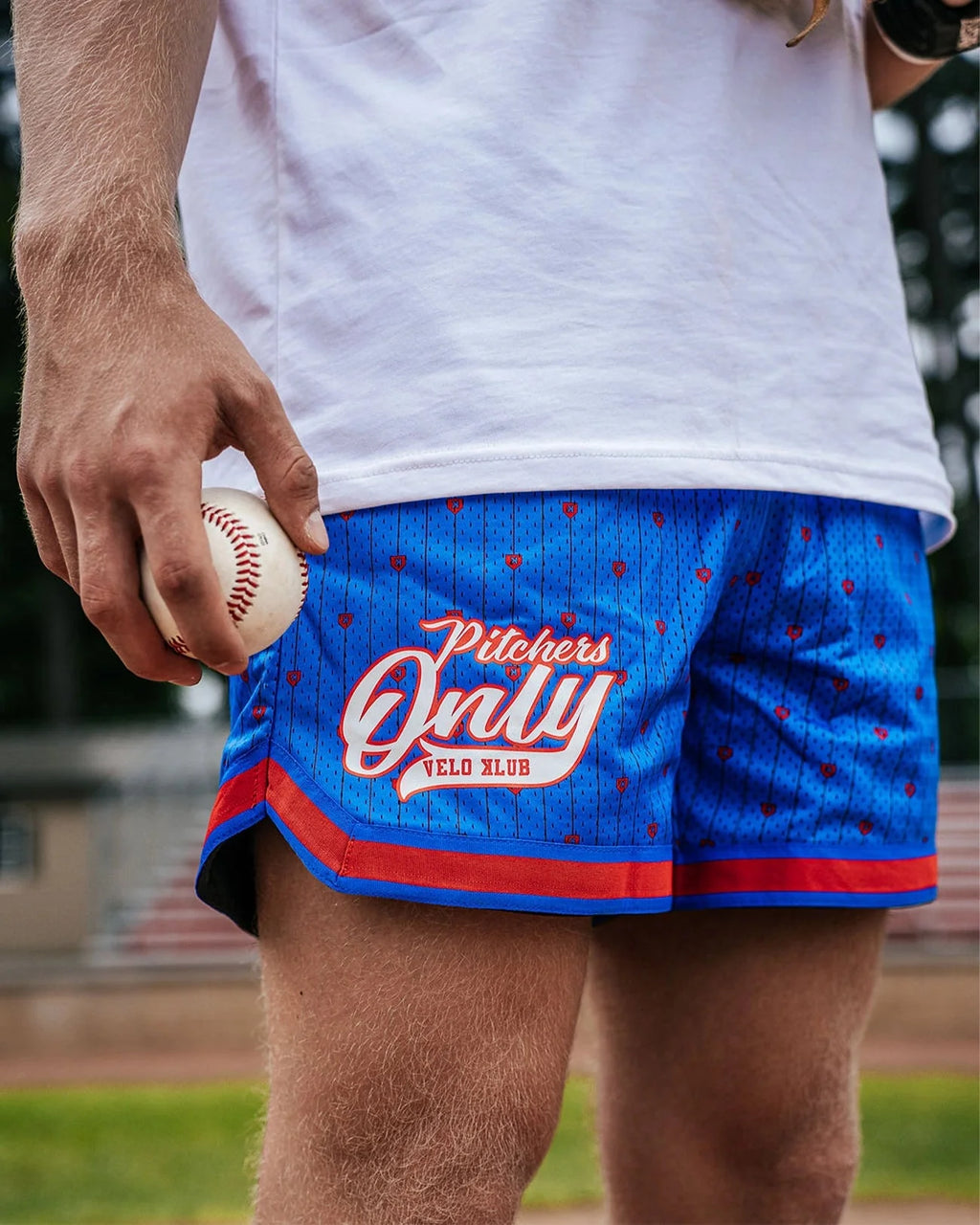 Mesh Pinstripe Shorts - Blue/Red