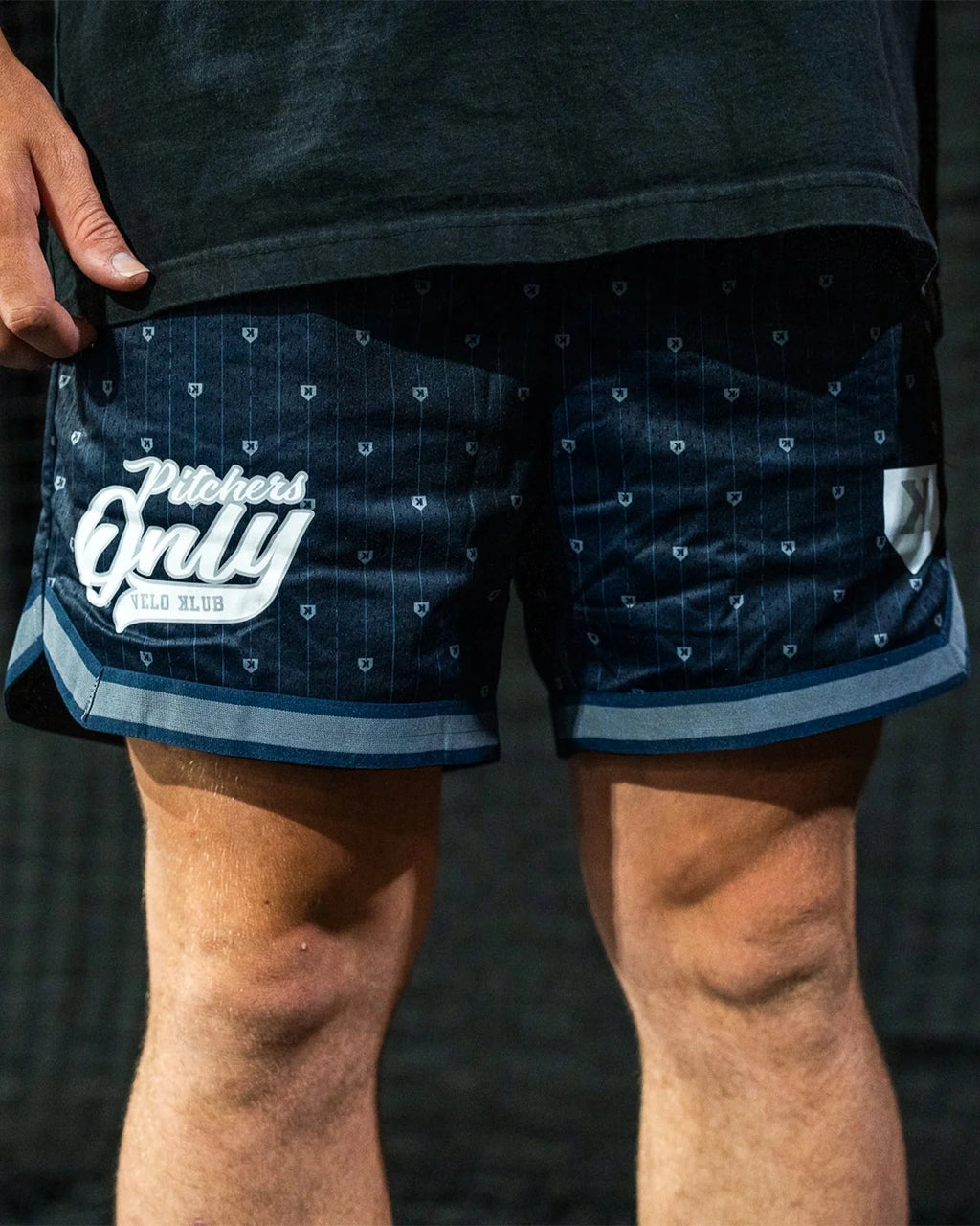 Mesh Pinstripe Shorts - Navy/Gray